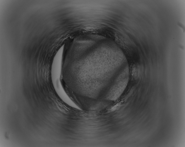 X0000092210868200710121127
