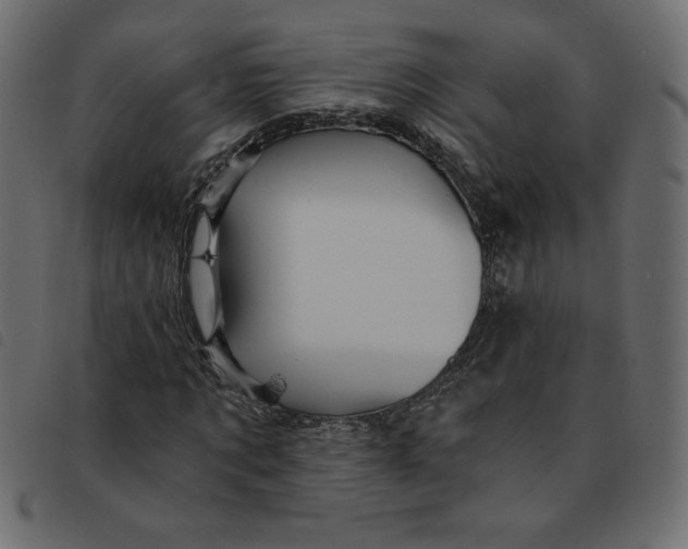 X0000092210869200710121127