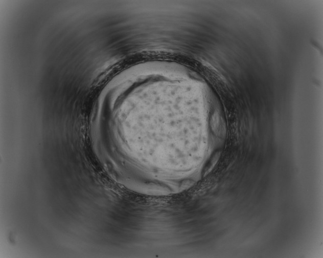 X0000092210870200710121127