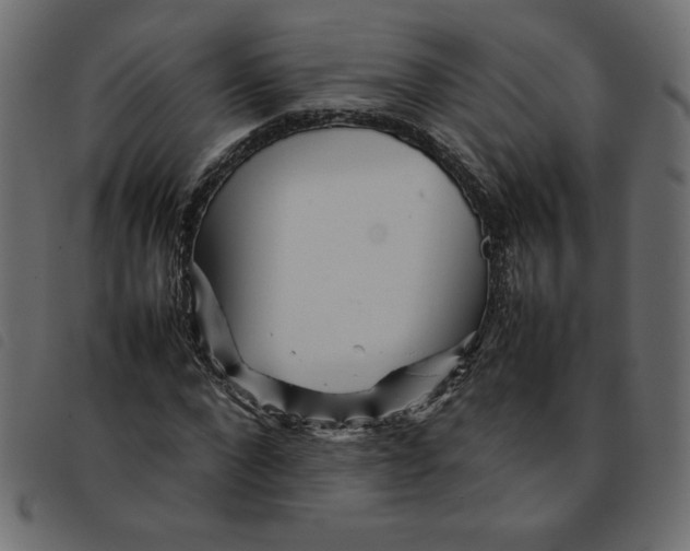 X0000092210872200710121127