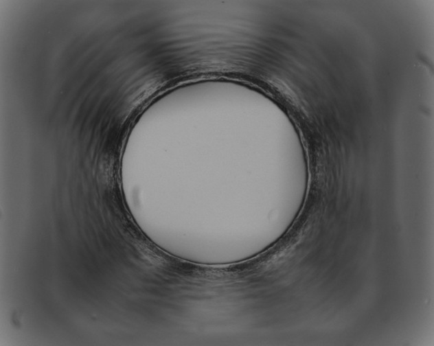 X0000092210873200710121127