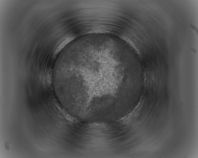 X0000092210874200710121127