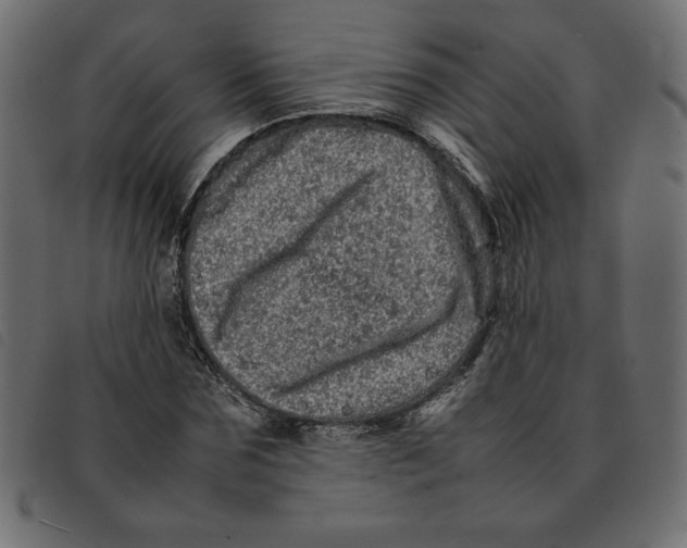 X0000092210875200710121127