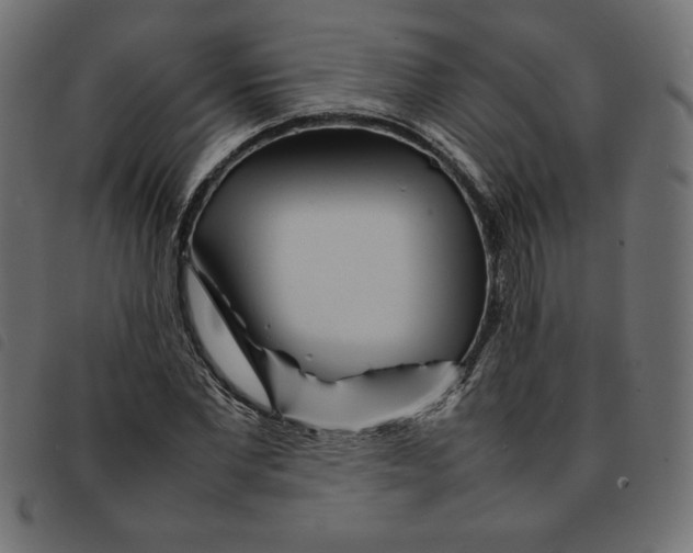 X0000092210877200710121127