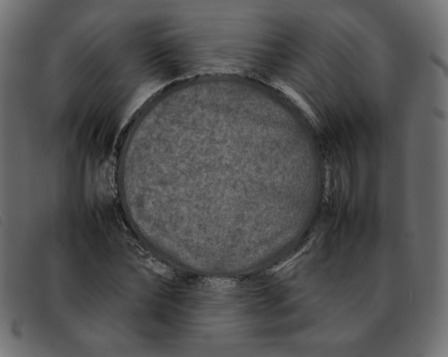 X0000092210878200710121127