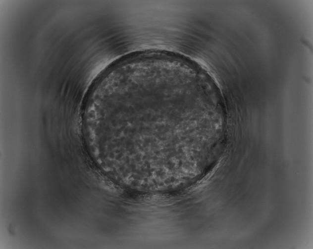 X0000092210879200710121127