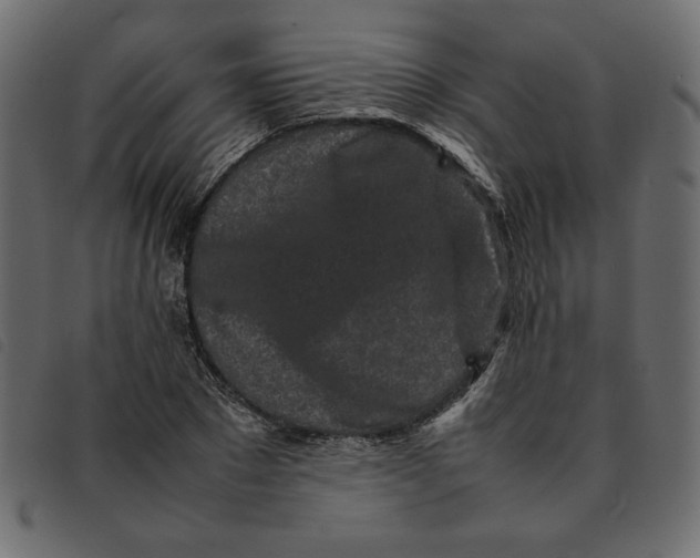X0000092210881200710121127