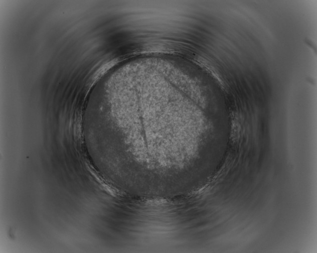 X0000092210882200710121127