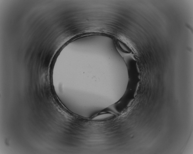 X0000092210884200710121126