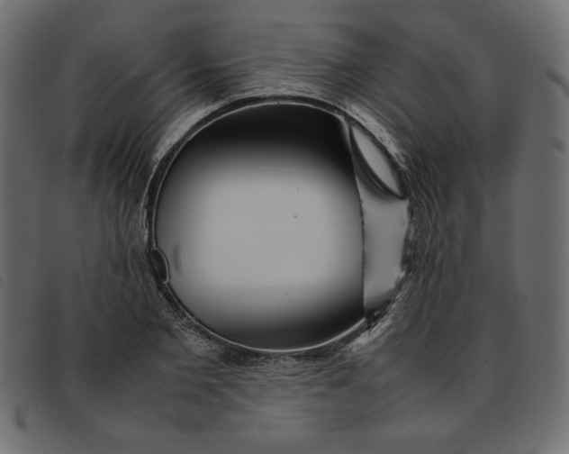 X0000092210885200710121126