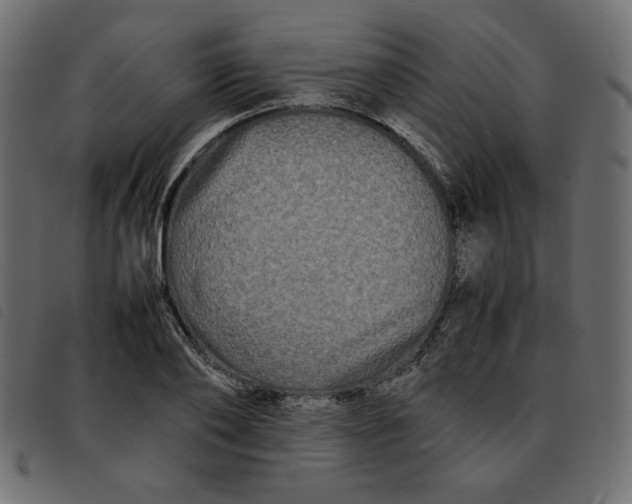 X0000092210886200710121126