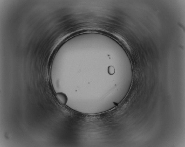 X0000092210887200710121126