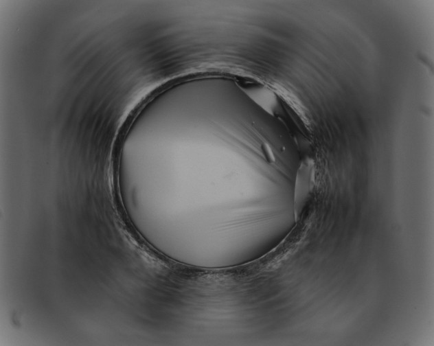 X0000092210888200710121126