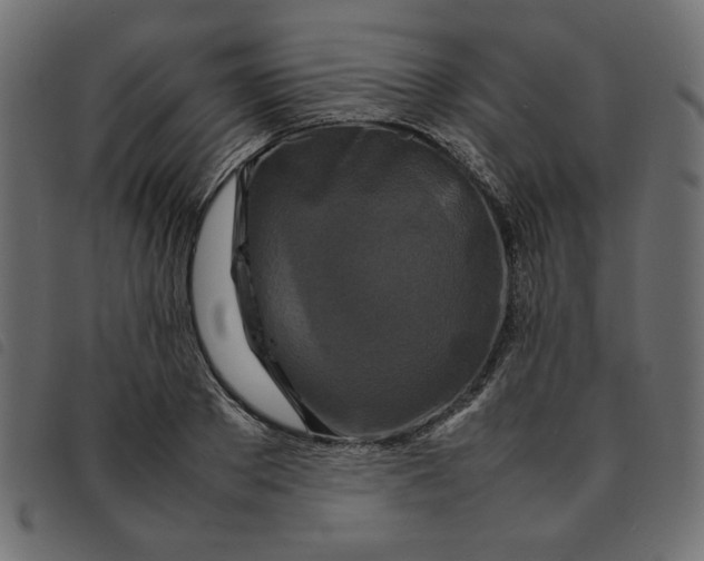 X0000092210889200710121126