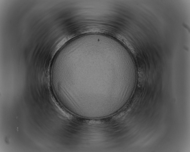 X0000092210890200710121126