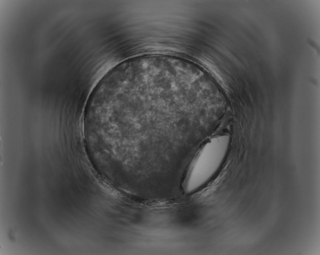 X0000092210891200710121126