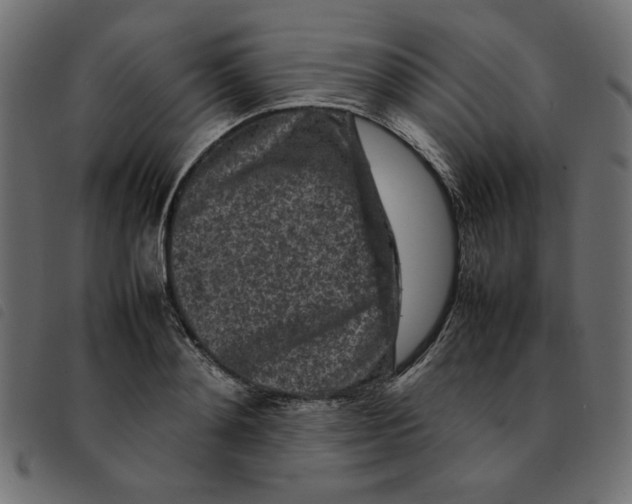 X0000092210892200710121126