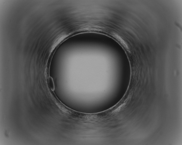 X0000092210893200710121126