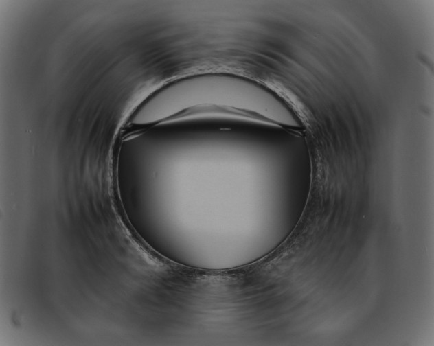X0000092210894200710121126