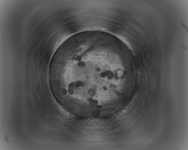 X0000092210895200710121126