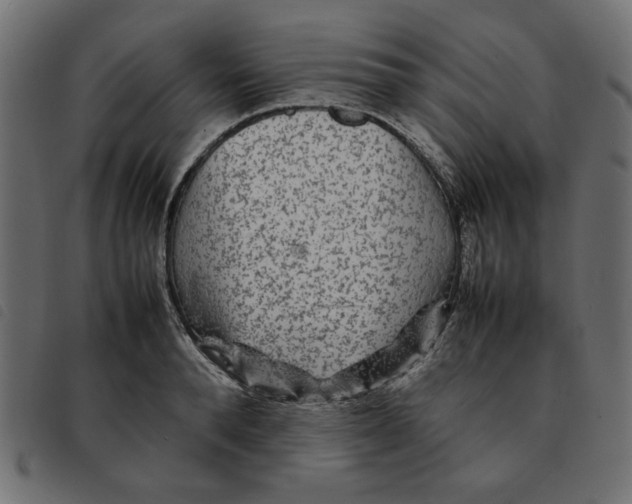 X0000092210896200710121126