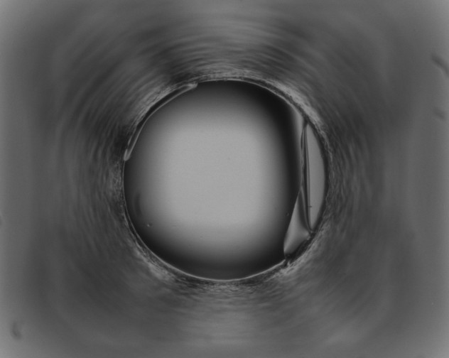 X0000092210897200710121126