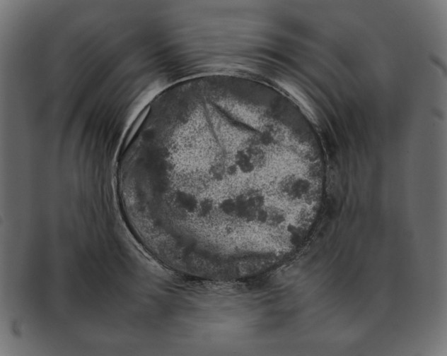 X0000092210899200710121126