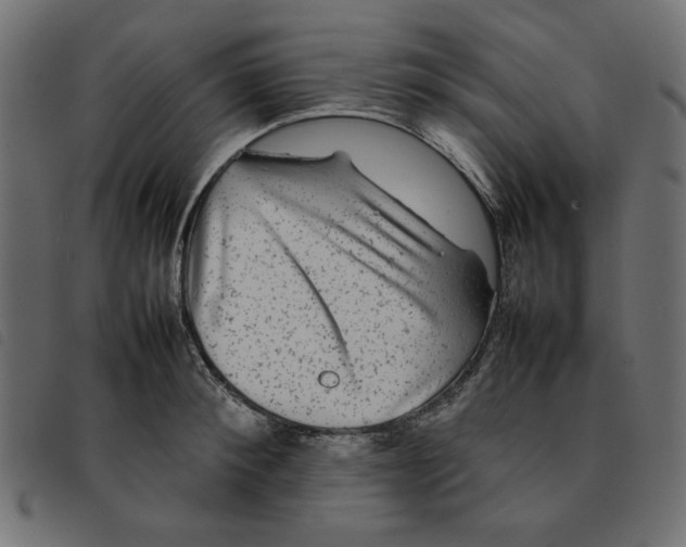 X0000092210900200710121126