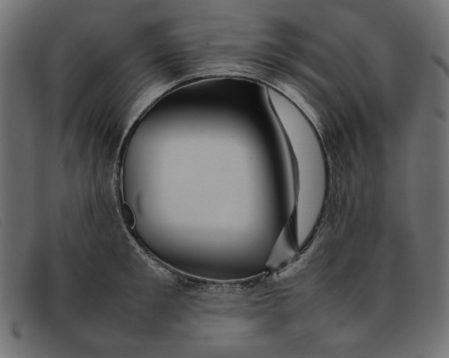 X0000092210901200710121126