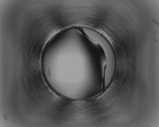 X0000092210902200710121126