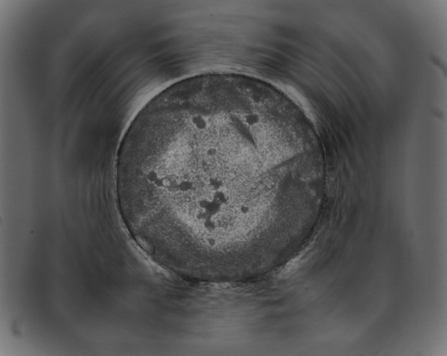 X0000092210903200710121126
