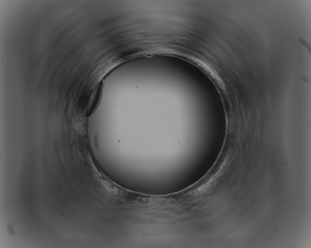 X0000092210905200710121126