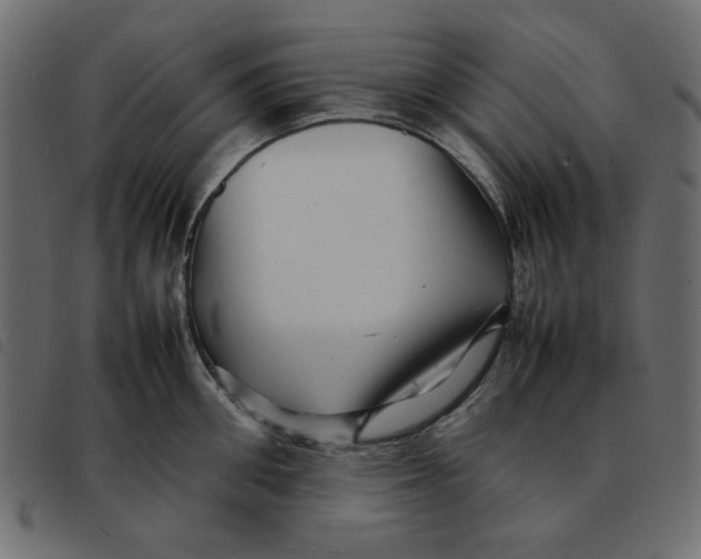 X0000092210906200710121126
