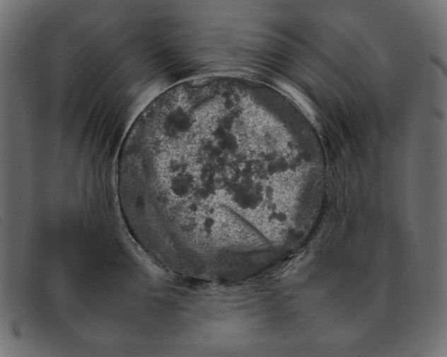 X0000092210907200710121126