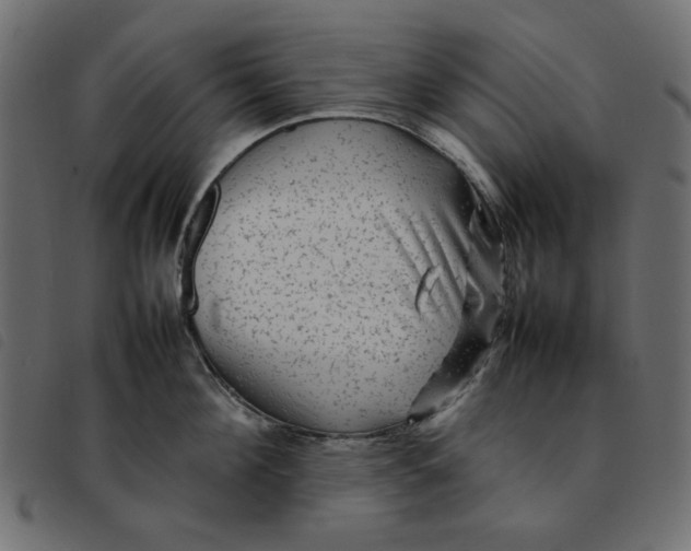 X0000092210908200710121126