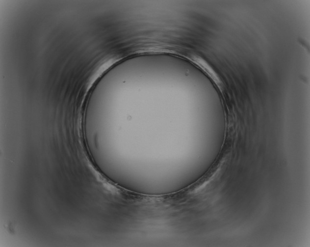 X0000092210909200710121126
