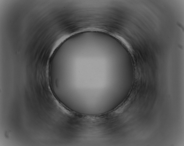 X0000092210910200710121126