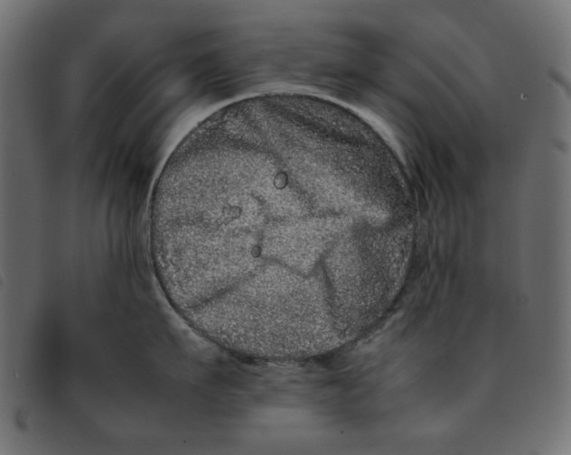 X0000092210911200710121126