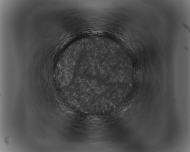 X0000092210913200710121125