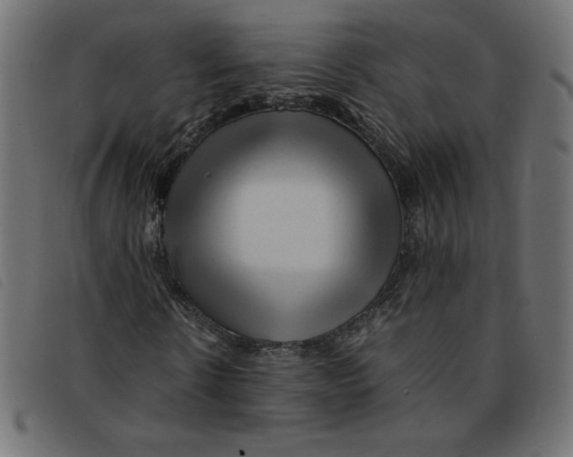 X0000092210914200710121125