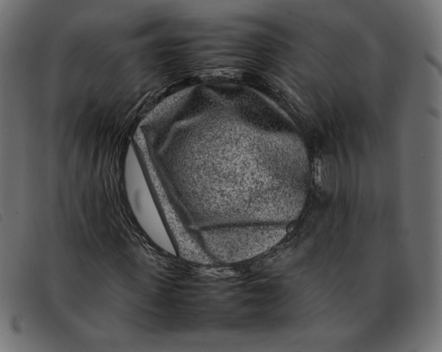 X0000092210915200710121125