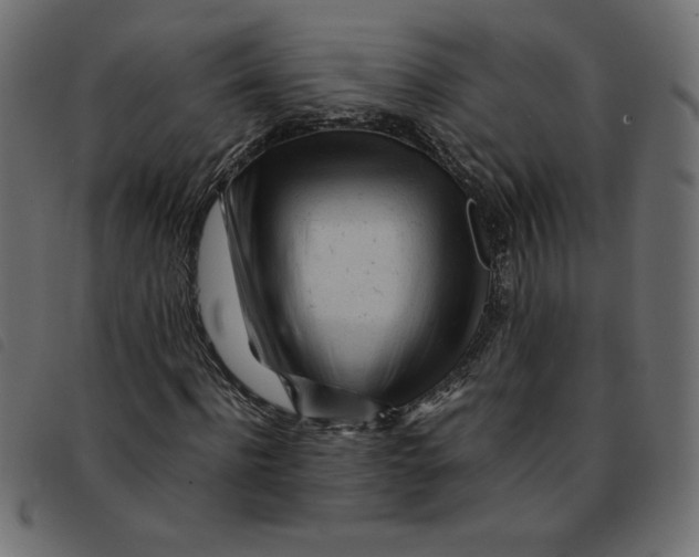 X0000092210916200710121125