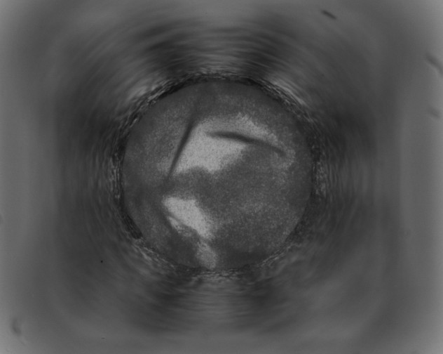 X0000092210917200710121126
