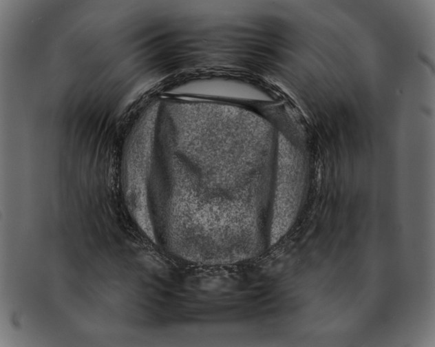 X0000092210919200710121126