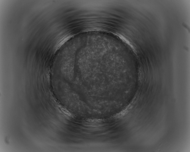 X0000092210921200710121126