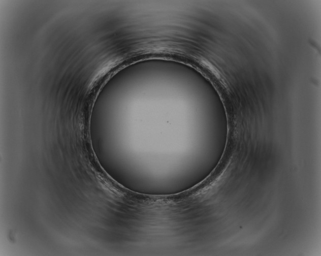 X0000092210922200710121126