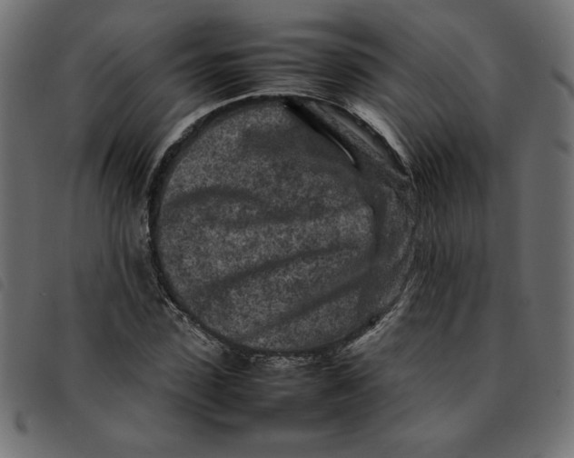 X0000092210923200710121126