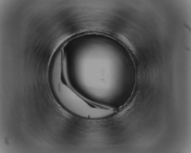 X0000092210924200710121126
