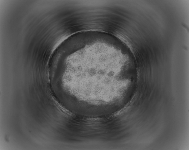 X0000092210925200710121126