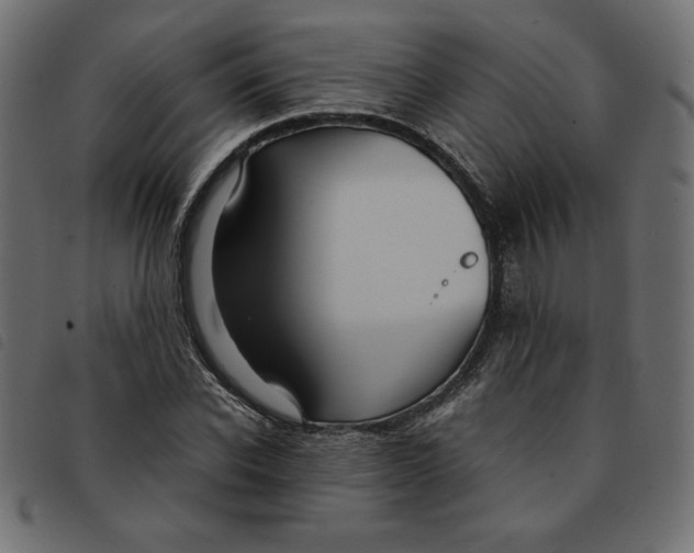 X0000092210926200710121126